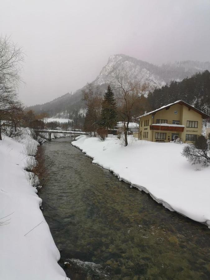 Gasthof Zum Falkenstein Hotel Schwarzau im Gebirge Eksteriør billede